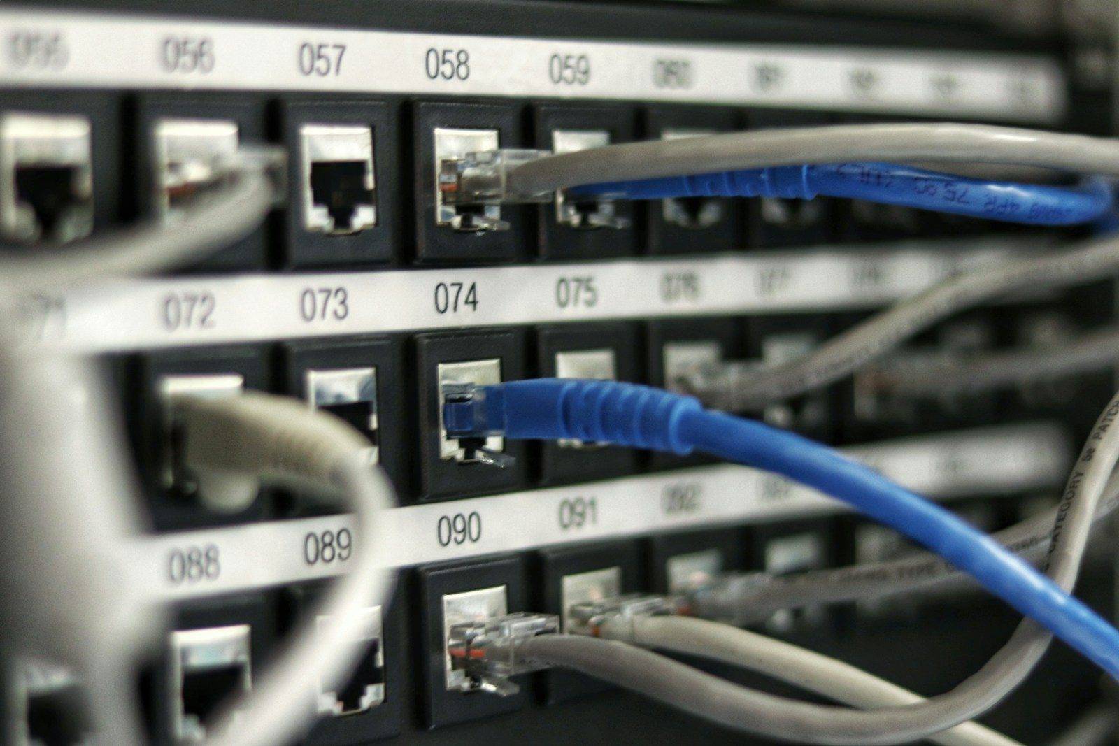 Neatly labelled network patch panel with blue and grey cables